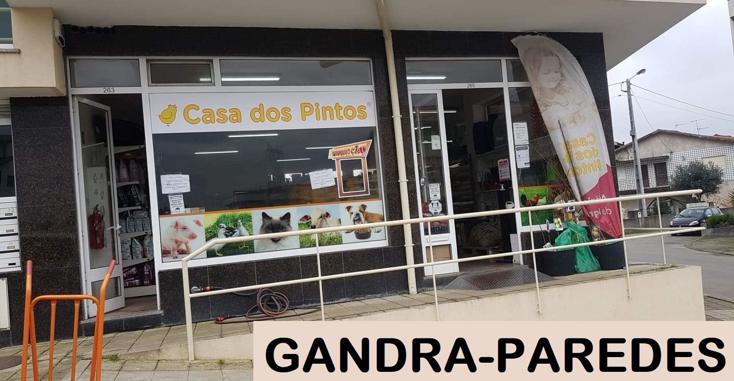 gandra paredes