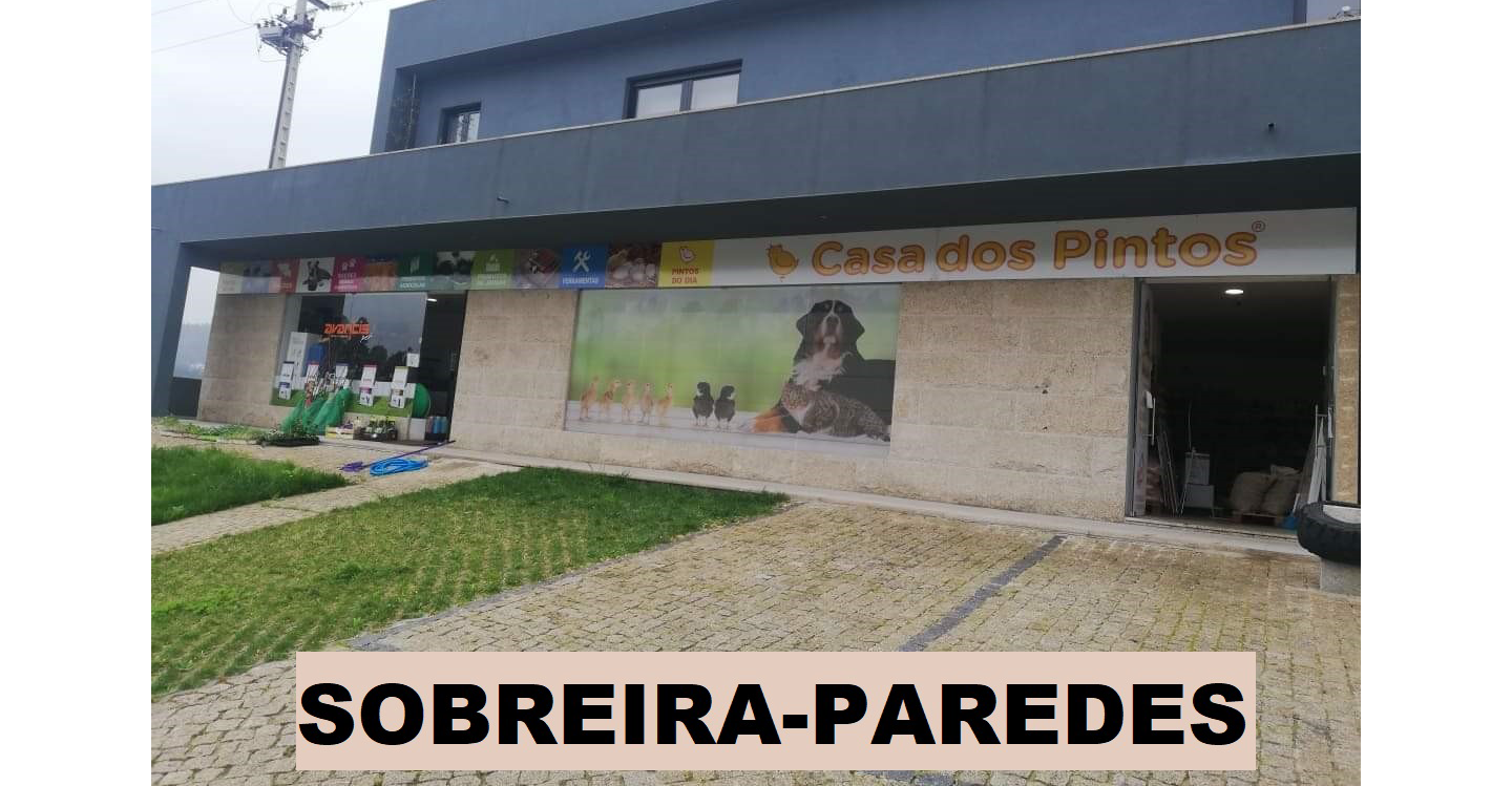 sobreira paredes